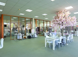 Salon Cosmetics